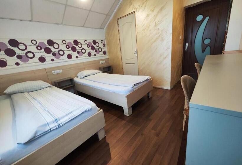 هاستل Casa Thomas Cluj