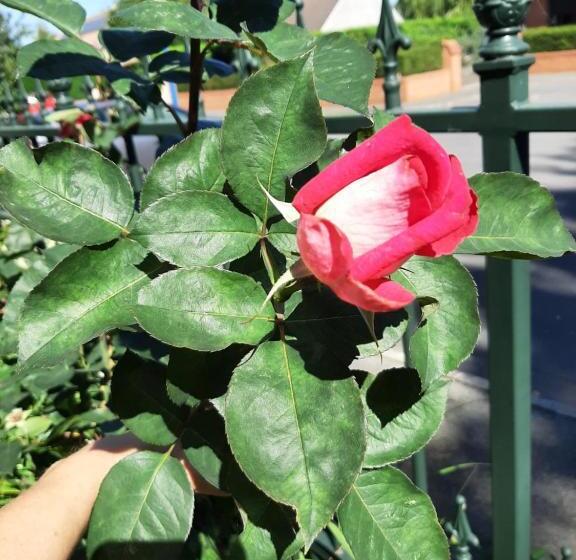 צימר Le Refuge Du Hibou