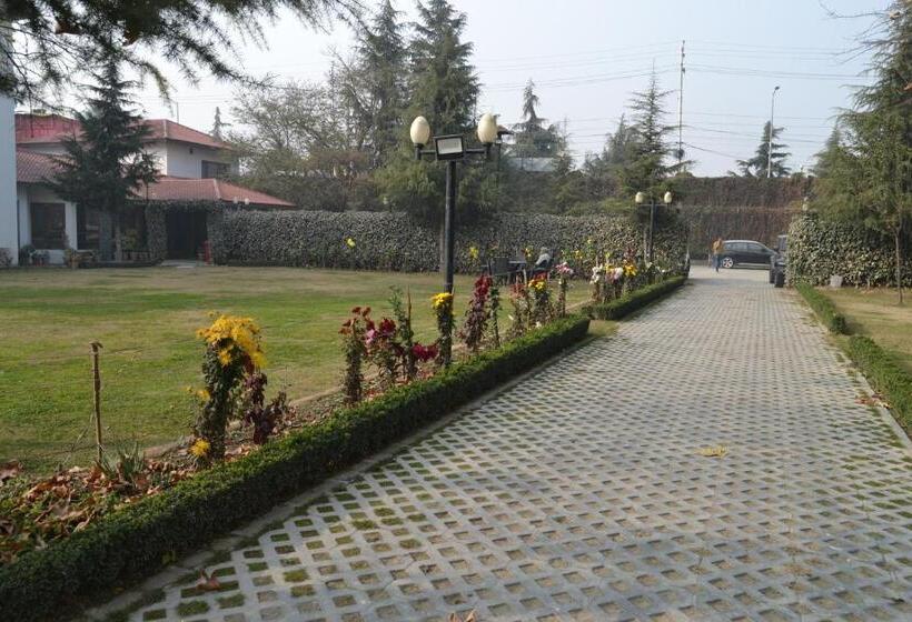 בית מלון כפרי Zippino 3s3