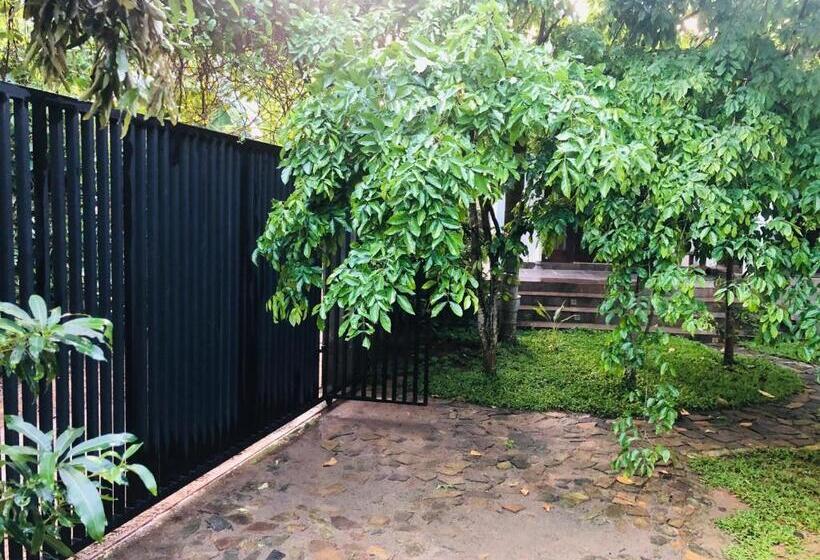 פנסיון Camellia Villa & Tour