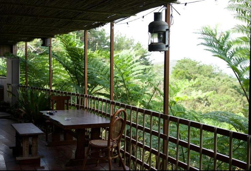 بنسيون Starlight Hostel Endeavour