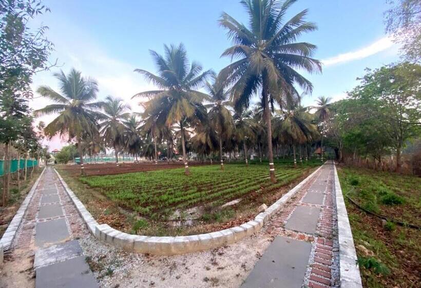 ホテル Chakra Farms