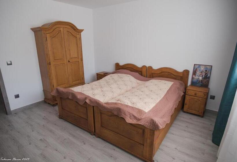 بنسيون Biertan 48 Guesthouse