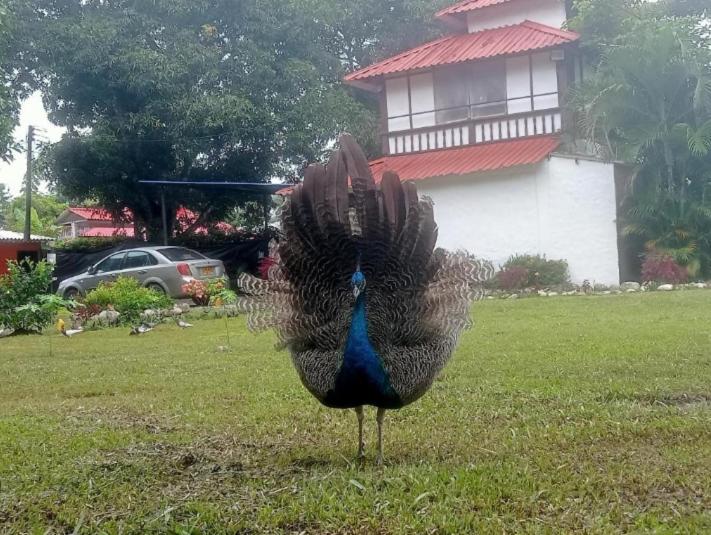 پانسیون Hospedaje Familar Campestre Villa Alondra