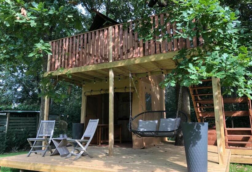 膳宿费 Kabana   Eco Forest Suite