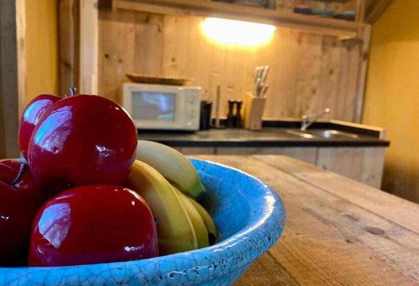 膳宿费 Kabana   Eco Forest Suite