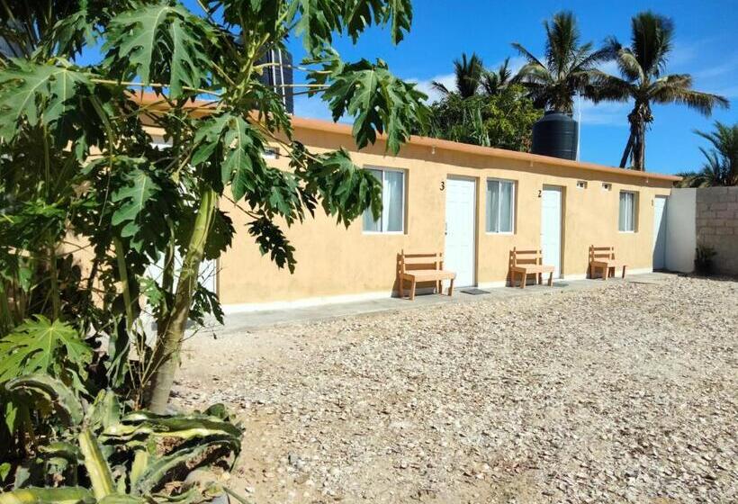 فندق صغير Posada San Carlos