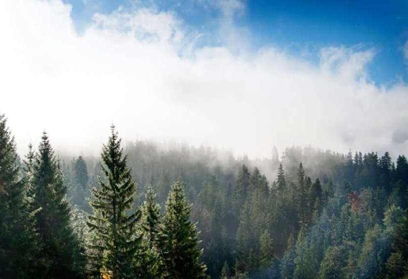 Отель Alpenretreat