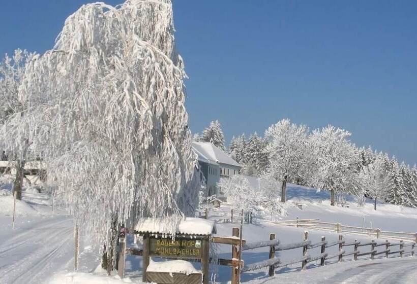 ホテル Mittereibenberger