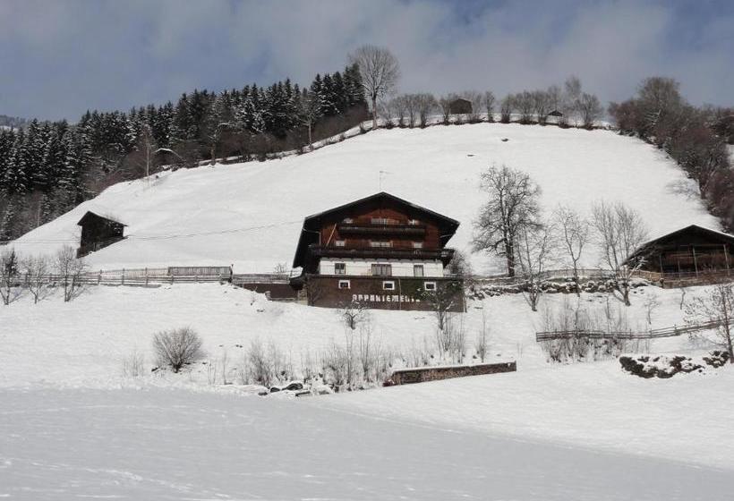 בית מלון כפרי Ferienwohnung Birkleiten