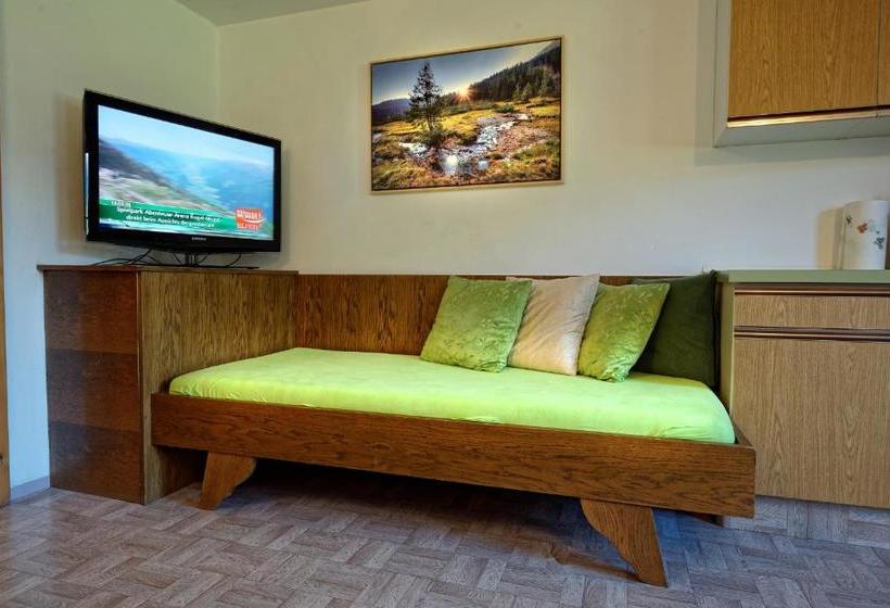 בית מלון כפרי Ferienwohnung Birkleiten