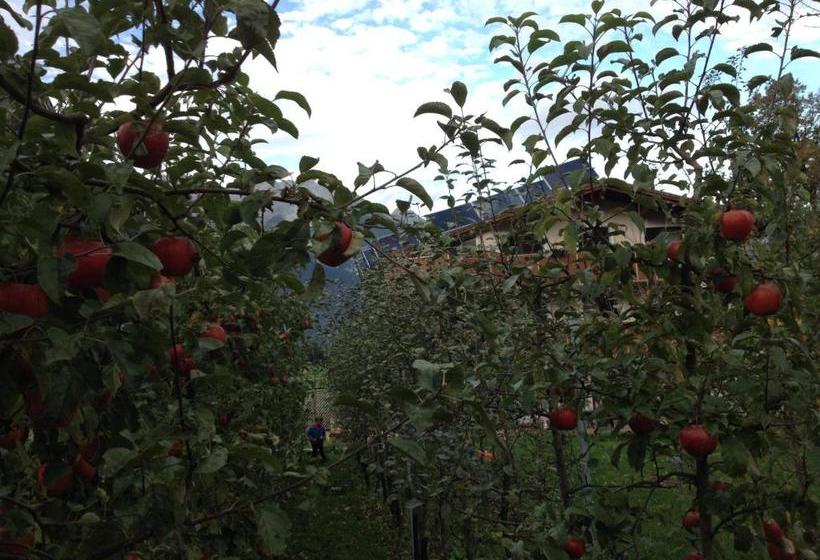 호텔 Ferienwohnungen Mair