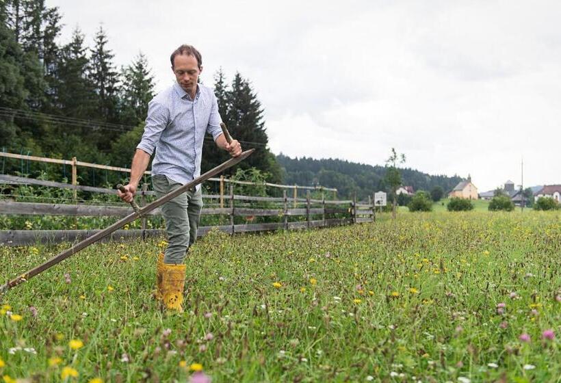 هتل Schloss Lerchenhof