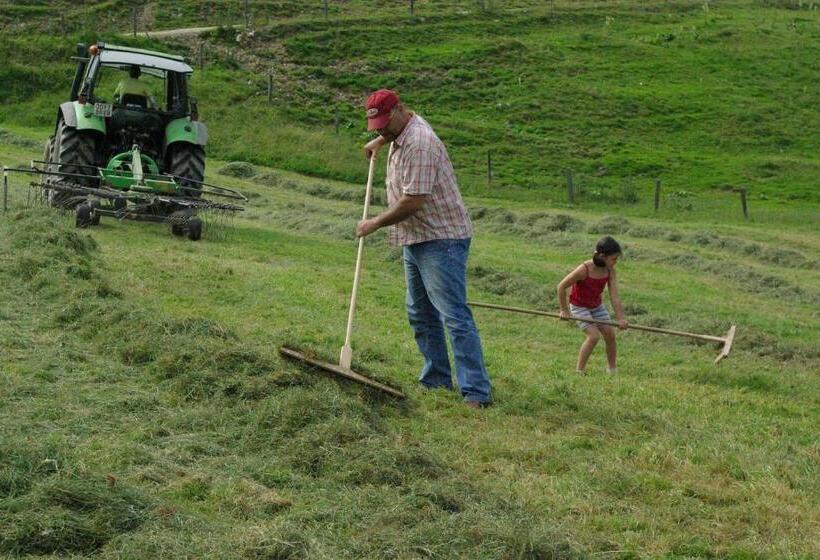 فندق Steinbachgut