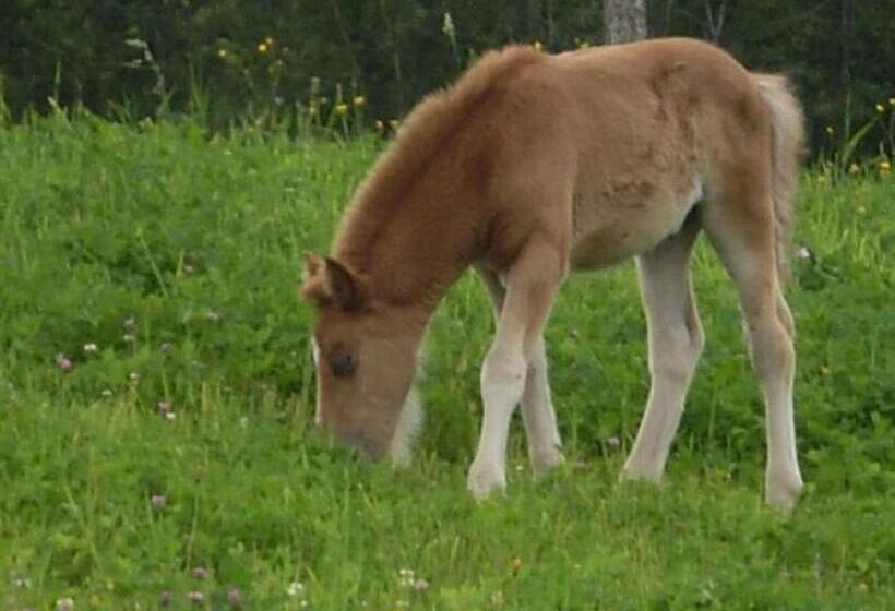 فندق Steinbachgut