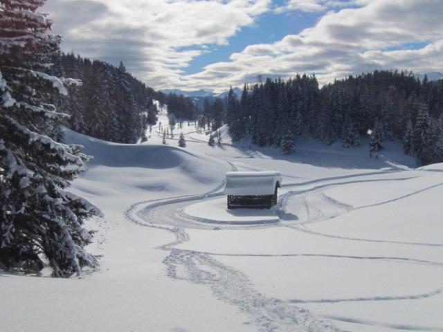 Отель Wirtshaus Zum Wiesejaggl