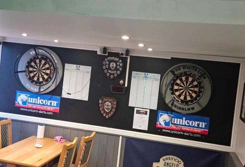 هاستل The White Lion Inn