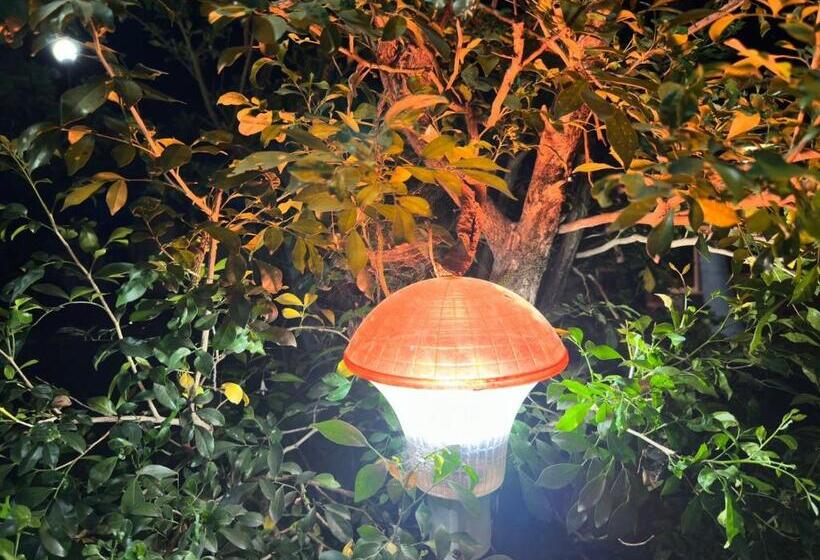Opulence Boutique Resort, Alibaug