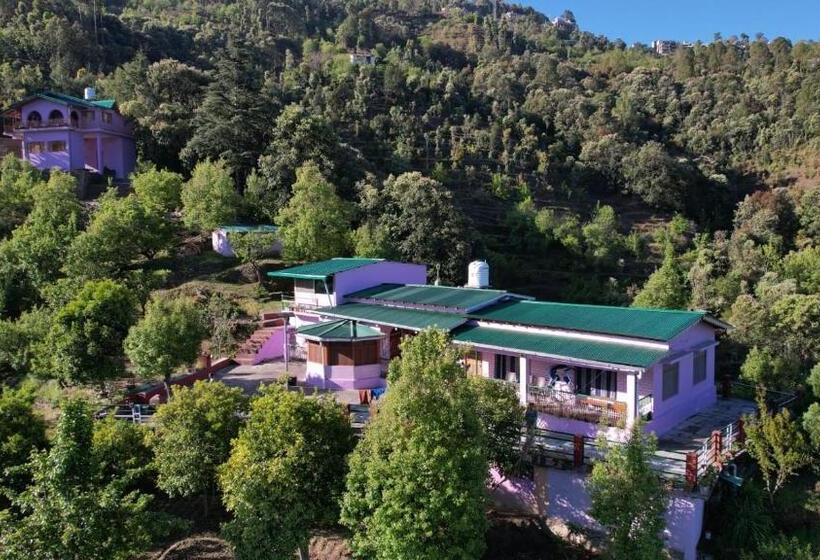 פנסיון Village View Resort