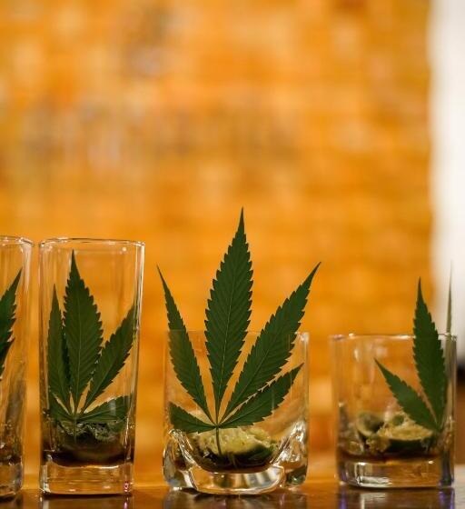 هتل Cannatel Exclusive