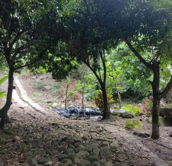 فنادق الكبسولة Finca Villa Esther
