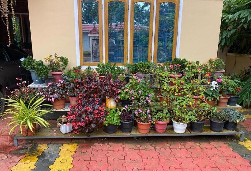 بنسيون Heavenly Stay