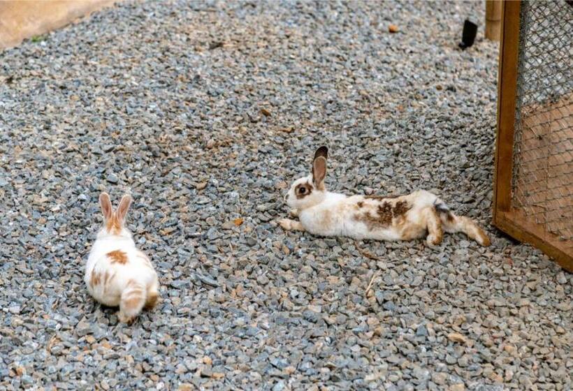 پانسیون Zen Medellin Maya