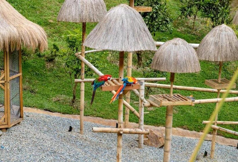 پانسیون Zen Medellin Maya