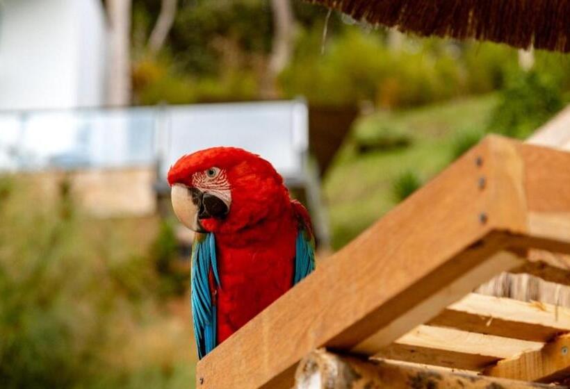 پانسیون Zen Medellin Maya