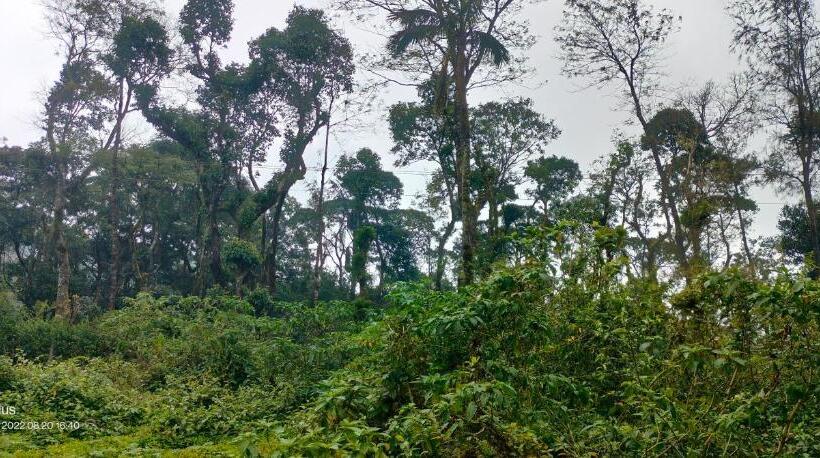 تختخواب و صبحانه The Infinity Villa   A Unit Of Nisarga Thana Homes