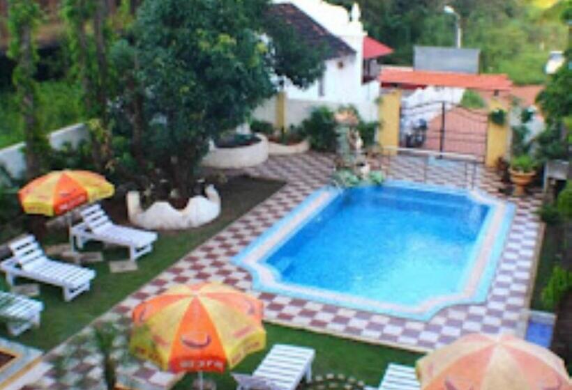 Skylight Royal Stay A Boutique Resort