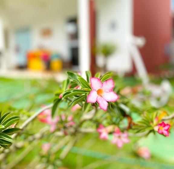 旅馆 Pousada Villa Egregora