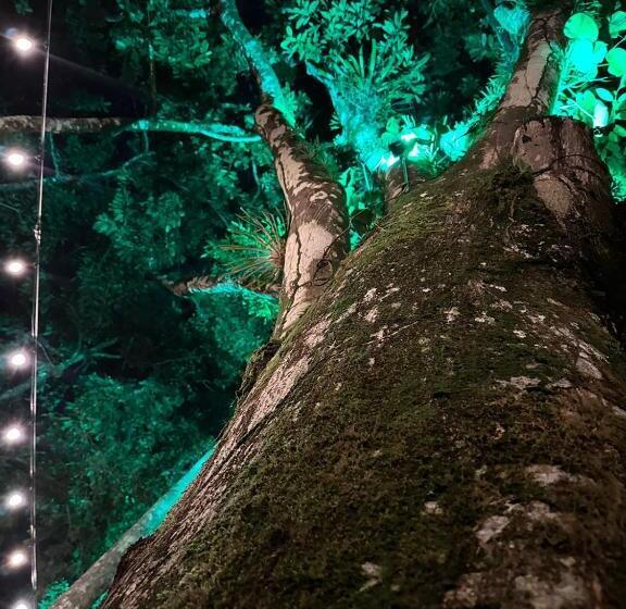 فندق Palo Alto Glamping