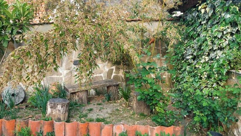 پانسیون Dadu S Gelati