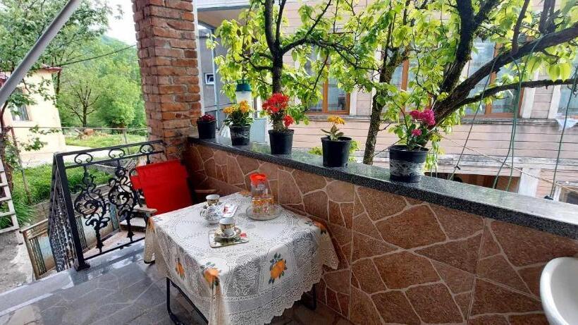 پانسیون Dadu S Gelati