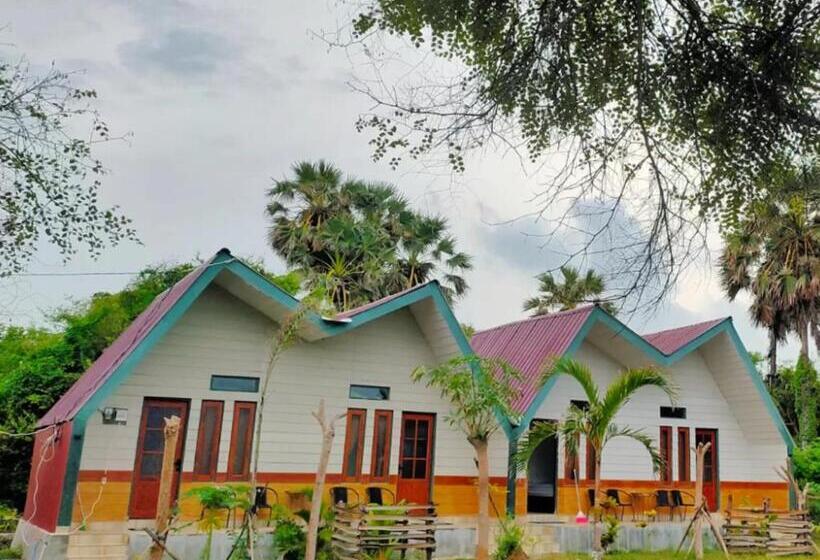 بنسيون Liman Resort