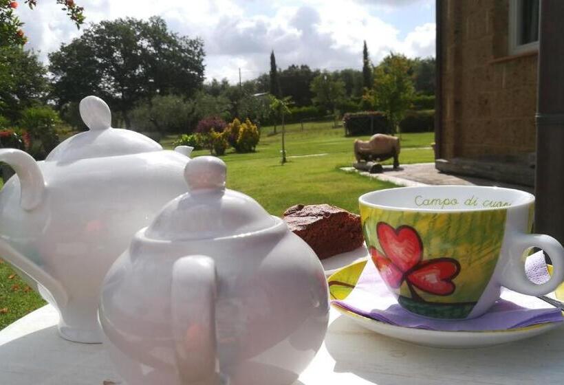 호텔 Agriturismo La Dependance