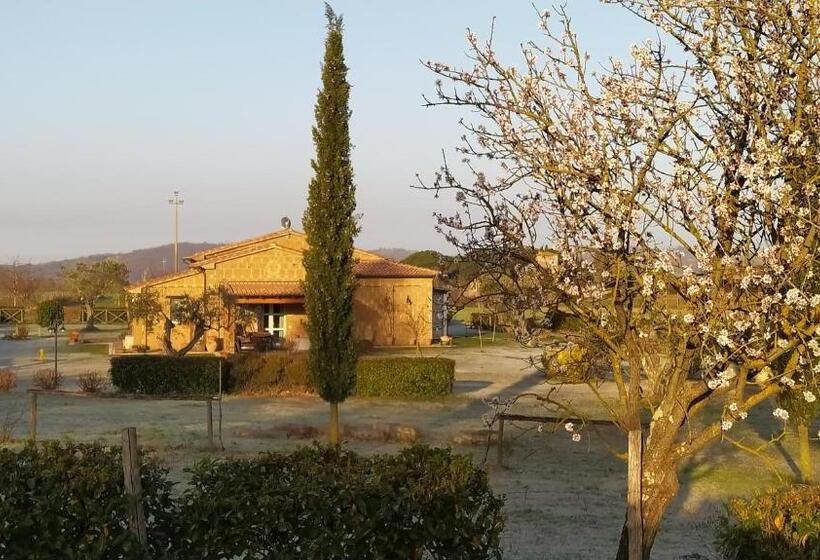 호텔 Agriturismo La Dependance