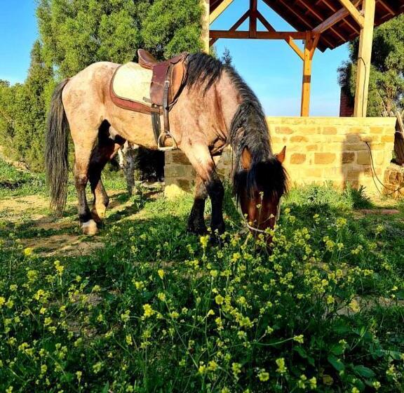 بنسيون Le Chalet Bouargoub