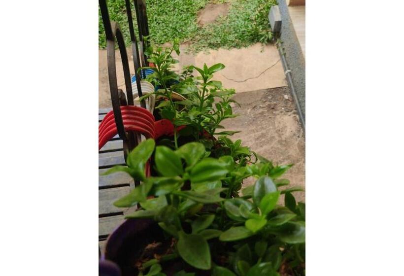 호텔 Waves Rooms By 29bungalow