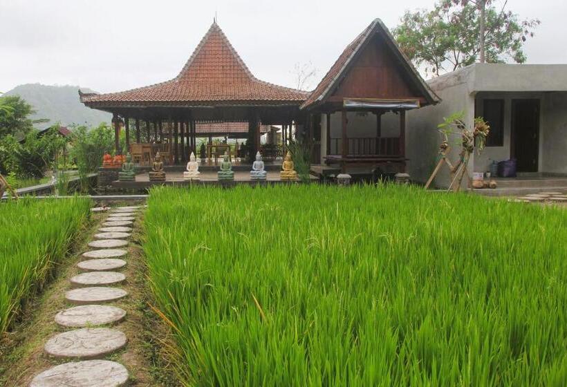 민박 Anandinii River Lodge