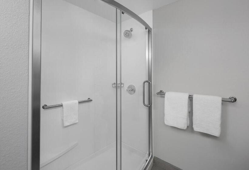 فندق Courtyard Oldsmar