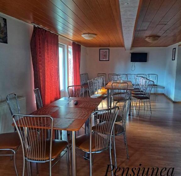 Pensiunea Paradis