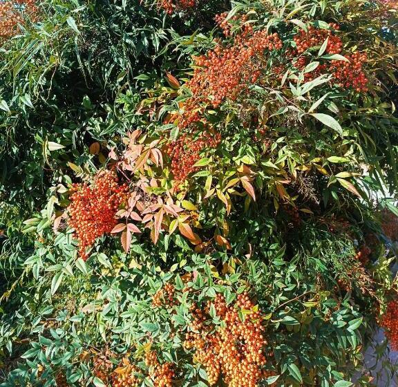 צימר La Casetta Di Ugo