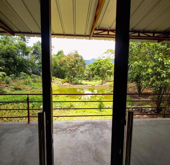 ホテル Cabañas Ecowasi