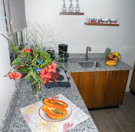 مبيت وإفطار Luxury Apartments Nauyaca By Paradiselodge