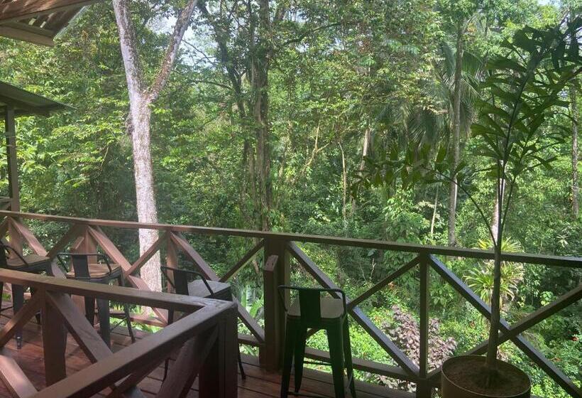 ベッドアンドブレックファースト The Lodge At Punta Rica  Hilltop Eco Lodge With Views & Pool