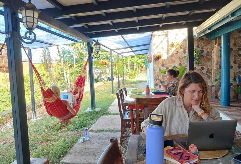 پانسیون Hostel Saltwater
