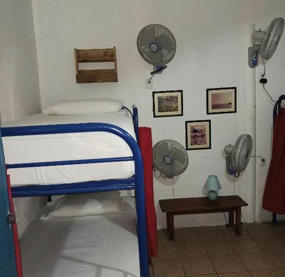پانسیون Hostel Saltwater