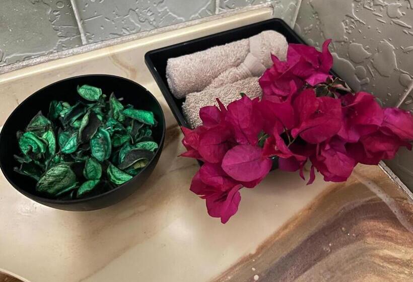 پانسیون Residence 71  At Nadi Town  At The Heart Of Nadi Town